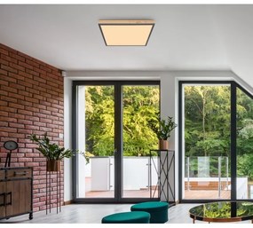 Globo 416080WD2 - LED Mennyezeti lámpa DORO LED/24W/230V