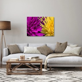 Kép - virág részlet (üvegen) (70x50 cm)