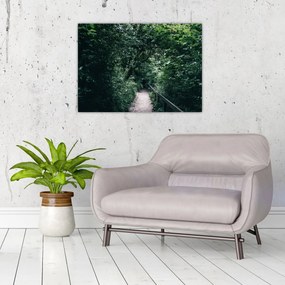 Üveg kép - Az erdőn át vezető út (70x50 cm)