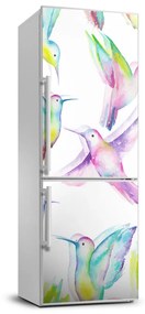 Dekor matrica hűtőre Színes kolibrik FridgeStick-70x190-f-87085424