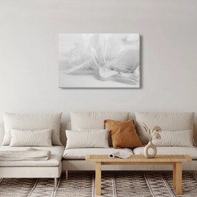 Kép - Tollak (90x60 cm)