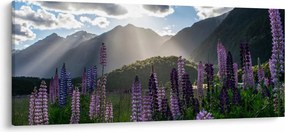 Kép - Csillagfürt táj (120x50 cm)