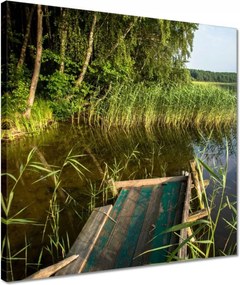 Vászonkép 40x40 Szúnyogok