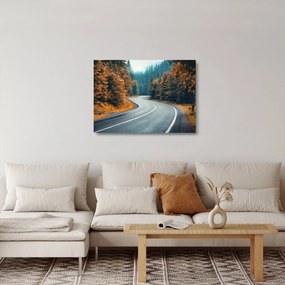 Kép - Kanyargós út (üvegen) (70x50 cm)