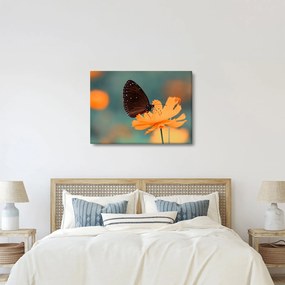 Kép - pillangó narancssárga virágon (70x50 cm)