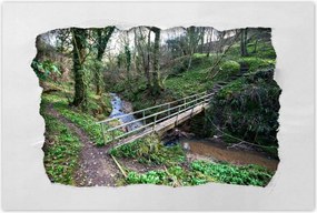 Poszterek 90x60 Híd a parkban