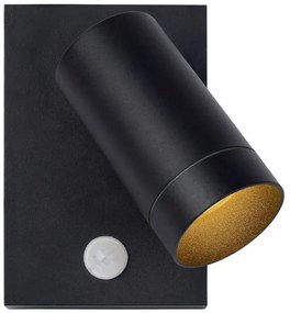 Lucide 09831/01/30 - Kültéri lámpatest érzékelővel TAYLOR 1xGU10/50W/230V IP54