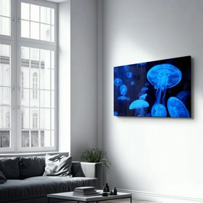 Üvegkép, 46×72 cm – OGLS-8061