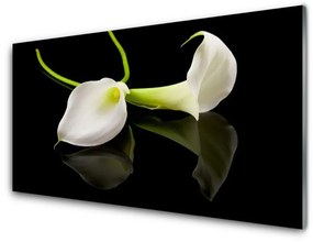 Akril üveg kép virágok növények 100x50 cm