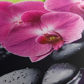 Kép - Rózsaszín orchidea pálmalevéllel (70x50 cm)