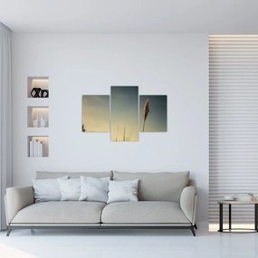 A fű képe (90x60 cm)