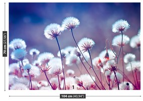 Fotótapéta virágok rét 104x70 cm