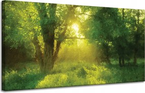 Vászonkép Pasztell Stílus Napfa 120x60 cm Ideális ajándék