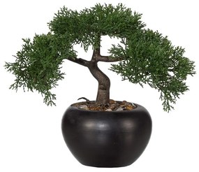 Cédrus műbonsai, 26 cm