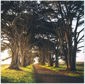 Poszterek 140x140 Tájkép Látvány