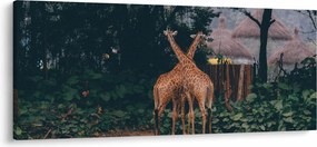 Két zsiráf képe (120x50 cm)