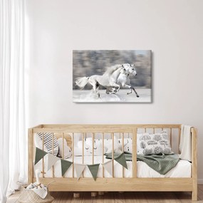 Kép - Fehér lovak télen (90x60 cm)