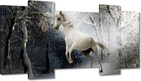 Vászonkép 120x65 Fehér paripa