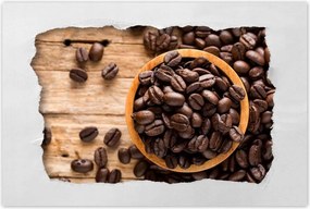 Poszterek 120x80 Kávébab Kávé