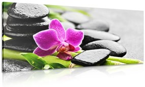 Kép wellness összeállítás lila orchideával