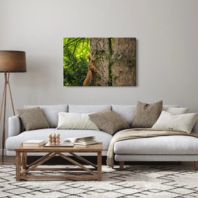Kép - Mókus (90x60 cm)
