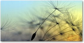 Fotó üvegkép Pitypang magok 140x70