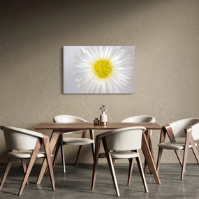 Kép - Margarita (90x60 cm)