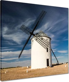 Vászonkép 50x50 Szélmalom Fa ásók