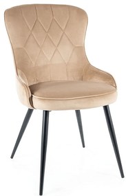 Lotus Velvet étkezőszék, bézs / fekete