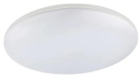 Globo GLOBO 32118-24 - LED Kültéri mennyezeti lámpa DORI 1xLED/24W/230V GL4829