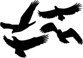 Kivágható matricák Madarak 4 Db különböző színekben! matricák