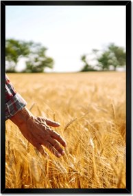 Poszterek keretben 40x60 Séta a gazda a gabonában