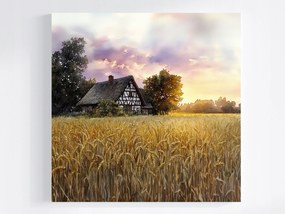 Vászonkép Canvas Tájkép Szabadtéri Ház Gabonamező Kalászok Nyár 40x40