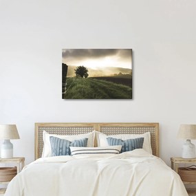 Egy rét képe (70x50 cm)