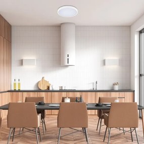 Rabalux 71428-LED Dimmelhető fürdőszobai lámpa ALENZO LED/24W/230V IP44 fehér + távirányító