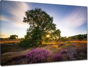 Vászonkép 90x60 Tájkép Látvány