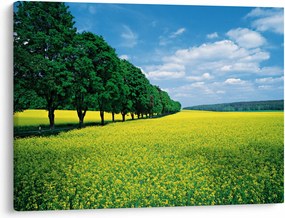 A mező képe egy sikátorral (70x50 cm)