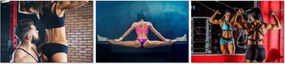 Festmények 3x 30x20 Motivációs kép Triptichon