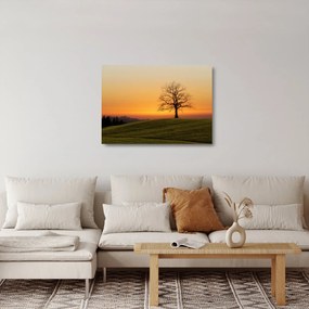 Naplemente a réten képe (üvegen) (70x50 cm)