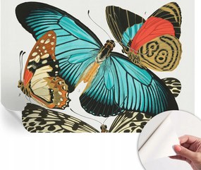 Öntapadós Dekoratív Fotótapéta Hálószobába Színes pillangók 152x104 cm