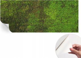 Dekoratív öntapadós fotótapéta Hálószobába Zöld szőnyeg 250x104 cm