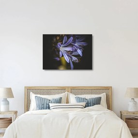 Kép - Lila (üvegen) (70x50 cm)