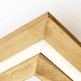 Brilliant-LED Dimmelhető mennyezeti lámpa RHEA LED/24W/230V