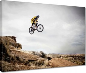 Vászonkép 40x30 Ugrálás kerékpáron