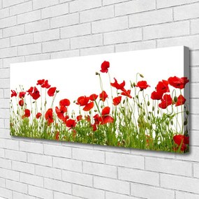Vászonkép falra Pipacsok virágok Mező Természet 140x70 cm