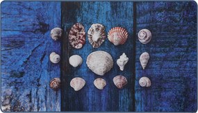 Seashell (80 x 100)