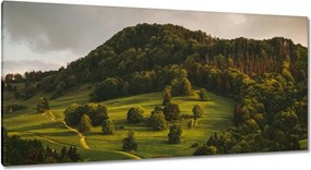 Festmények 115x55 Tájkép Pieniny