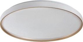 Rabalux 71454 - ZERAVA dimmelhető LED mennyezeti lámpa LED/80W/230V 3000-6500K, Ø 77 cm + távirányító