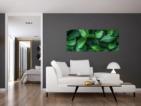 Kép - Zöld levelek (120x50 cm)