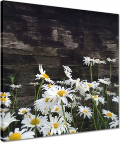 Festmények 40x40 Margaretki